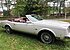 1983 Buick Riviera Convertible for sale 101032753